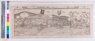 Heidelberg, Stadt und Schloss von Norden (Panorama)