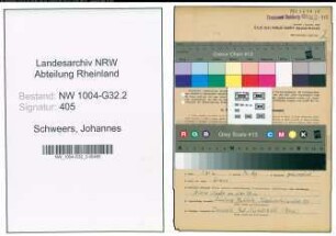 Entnazifizierung Johannes Schweers , geb. 22.11.1883 (Verw.Angestellter)