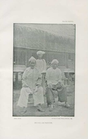 PLate XXXVI. Hui Hui or Panthes