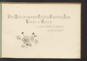 Ihrer Hoheit der regierenden Fürstin zu Schaumburg-Lippe Herzogin zu Sachsen in tiefster Ehrfurcht gewidmet von Ernst Kreidolf.