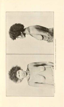 Plate XXIII. Negrito woman of zambales (Mixed blood)