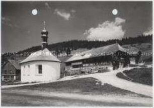 Schwarzwald, Heule, Schluchsee