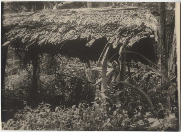 Tombe avec toit de protection (Katukina)