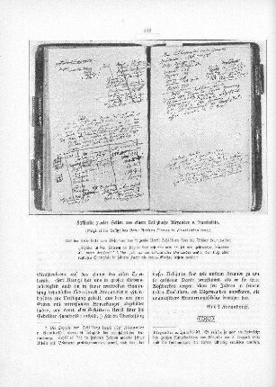 Faksimile zweier Seiten aus einem Notizbuche Alexander v. Humboldts