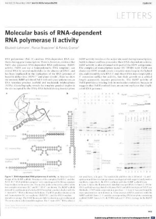 Molecular basis of RNA-dependent RNA polymerase II activity