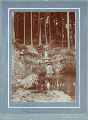 Die Warnsdorfer Quelle bei Grillenburg im Tharandter Wald