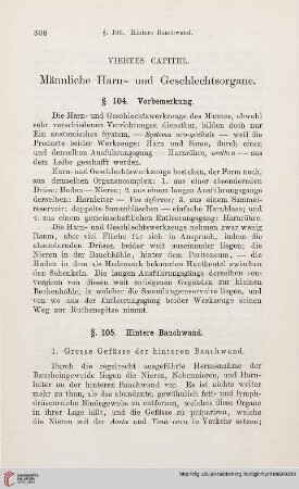 Viertes Capitel: Männliche Harn- und Geschlechtsorgane