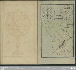 Fig. VI. - Fig. X.