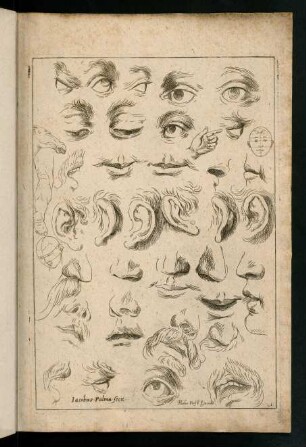 1r-1v, Augen, Ohren, Nase, Mund