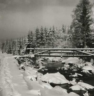 Harz. Kalte Bode oberhalb von Schierke. Ansicht mit Holzbrücke