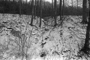 Kneeden: Hang mit Einkerbung: oben Bäume: Winter