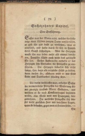 Sechszehntes Kapitel. Eine Entführung.