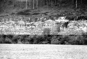 Neudenau Sanierung Stützmauer Rodung Hangwald