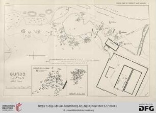 Plate I - LIII