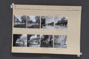 Straßenansichten. Berlin, Prenzlauer Berg, Kastanienallee/Schönhauser Allee