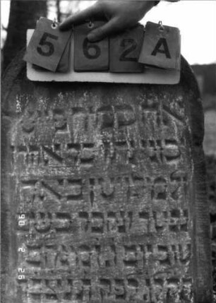 Grabstein 562 (Index: 100115354) Material: Sandstein Zustand: verwittert Maße HxBxT: 83x49x7 cm Beschreibung: Stele mit Rundbogenabschluß, eingetieftes Schriftfeld: Grabstein 562A
