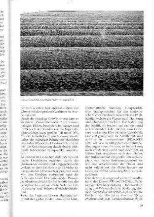 Abb. 2: Gewölbte Ackerbeete in der Wilstermarsch