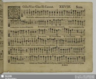 XXVIII. Quam dilecta tabernacula
