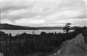 Bucht bei Valdivia : Blick auf eine Bucht bei Valdivia.