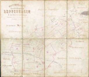 N° VI: Mutterkarte von der Hoffeldmark Reppenhagen, D.A. Grevesmühlen.