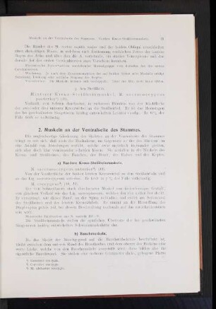 2. Muskeln an der Ventralseite des Stammes.