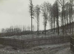 Technikgeschichte | Forstwirtschaft, Jagdwesen | Forstwirtschaft | Waldtypen | Teil I