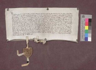 Bischof Berthold von Straßburg urkundet, daß Graf Egeno IV. von Freiburg seiner Mutter Anna die Vesten Lichteneck und Nimburg für die Zeit ihres Lebens überlassen hat.