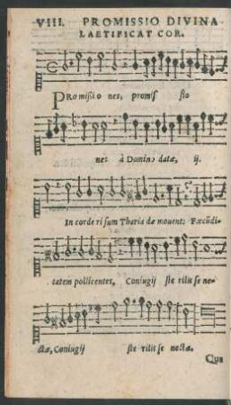 VIII. Promissio Divina Laetificat Cor.