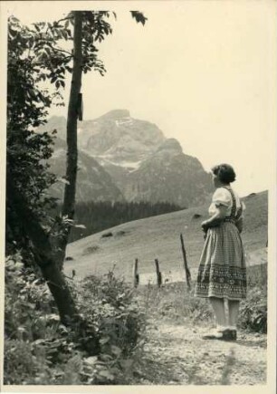 Wanderweg bei Spiez