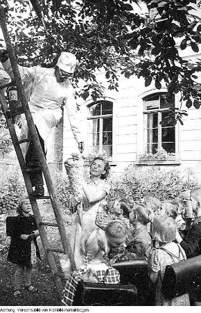 Radeburg, Berbisdorf, Hauptstraße 26. Berbisdorfer Schule (POS Berbisdorf), u.a. Einschulung, Zuckertüte, Zuckertütenbaum, 1952