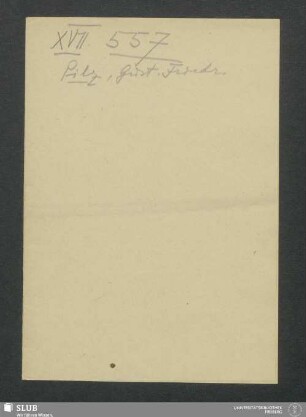 Churprinz Friedrich August Erbstolln zu Großschirma - XVII 557 8.