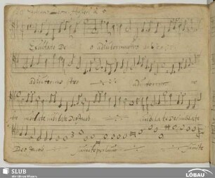 [20.] Hassler, Hans Leo: Exsultate Deo