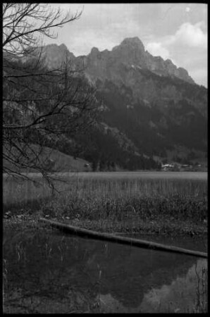 Grän: Haldensee [mit Ästen im Vordergrund]