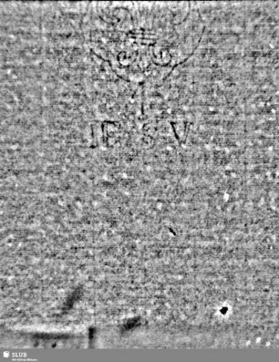 Lilienschild + IESV / LW = S.3/4