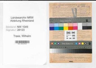 Entnazifizierung Wilhelm Trees , geb. 26.10.1884 (Kaufmann)