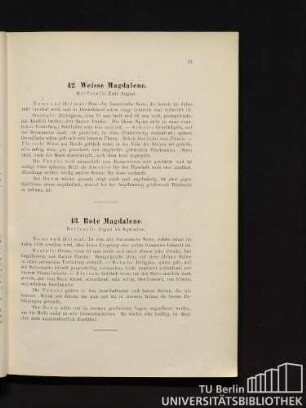 43. Rote Magdalene.