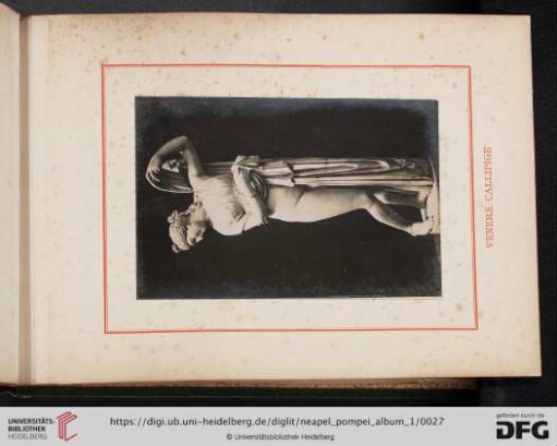 Venere Callipige