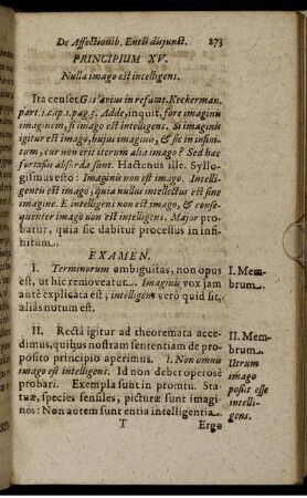 Principium XV. Nulla imago est intelligens.