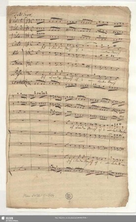 Ich elender Mensch wer wird mich erlösen - Mus.2402-E-504 - Mus.2402-E-504a - Mus.2402-E-504b : V (4), Coro, strings, bc; RoemV 180