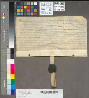 Lehnbrief in betref der Schwarzmans Hove oder Schwarten Erbe [Kirchspiel St. Mauritz vor Münster].