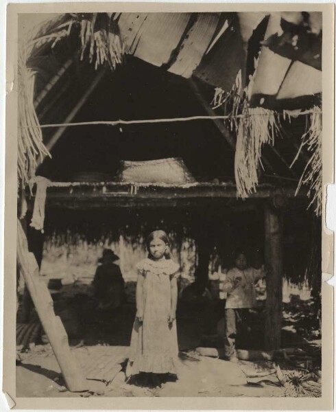 Cabane dans la plantation d'un Indien de la Cavina