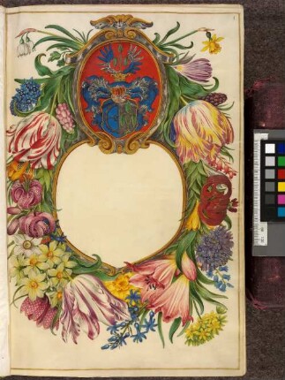 Moller-Florilegium (1) des Hans Simon Holtzbecker
