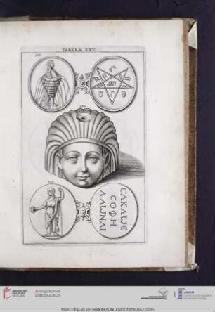 Capvt XV: Tabvla XXV. XXVI. XXVII.
