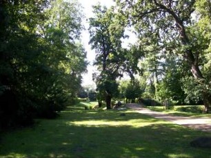 Oranienbaum: Schloßpark