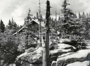 Romantik auf dem Dreisesselberg im Bayerischen Wald