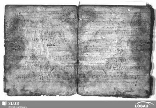 Anonymus: Quam bonus est Deus noster