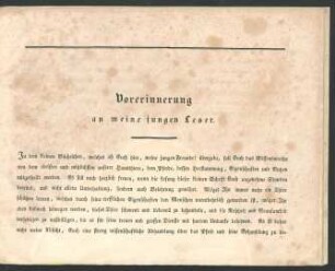 Vorerinnerung an meine jungen Leser.