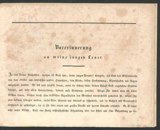 Vorerinnerung an meine jungen Leser.