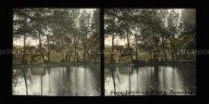Blick über Teich zum Schloss Ilsenburg