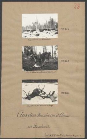 Jagdbeute des Obersten v. Sziess